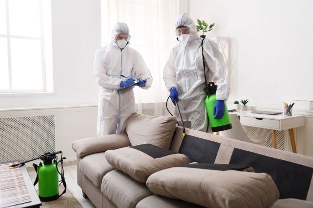 Eliminator Pest Control - Prevention Measures and Tips