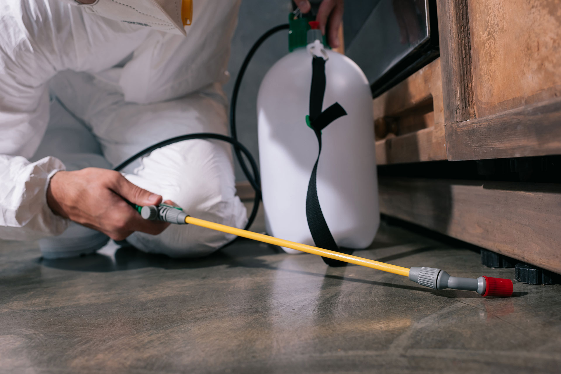 Pest Control Services for your property