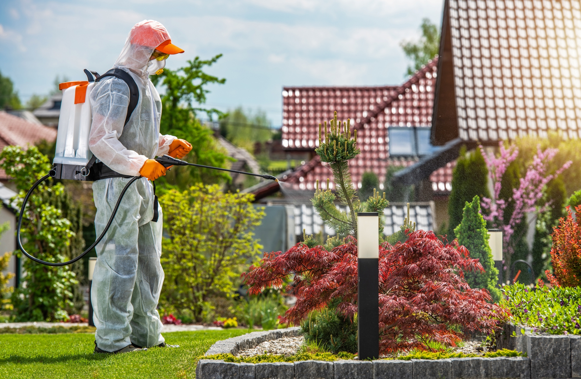 Termite Treatment Spray
