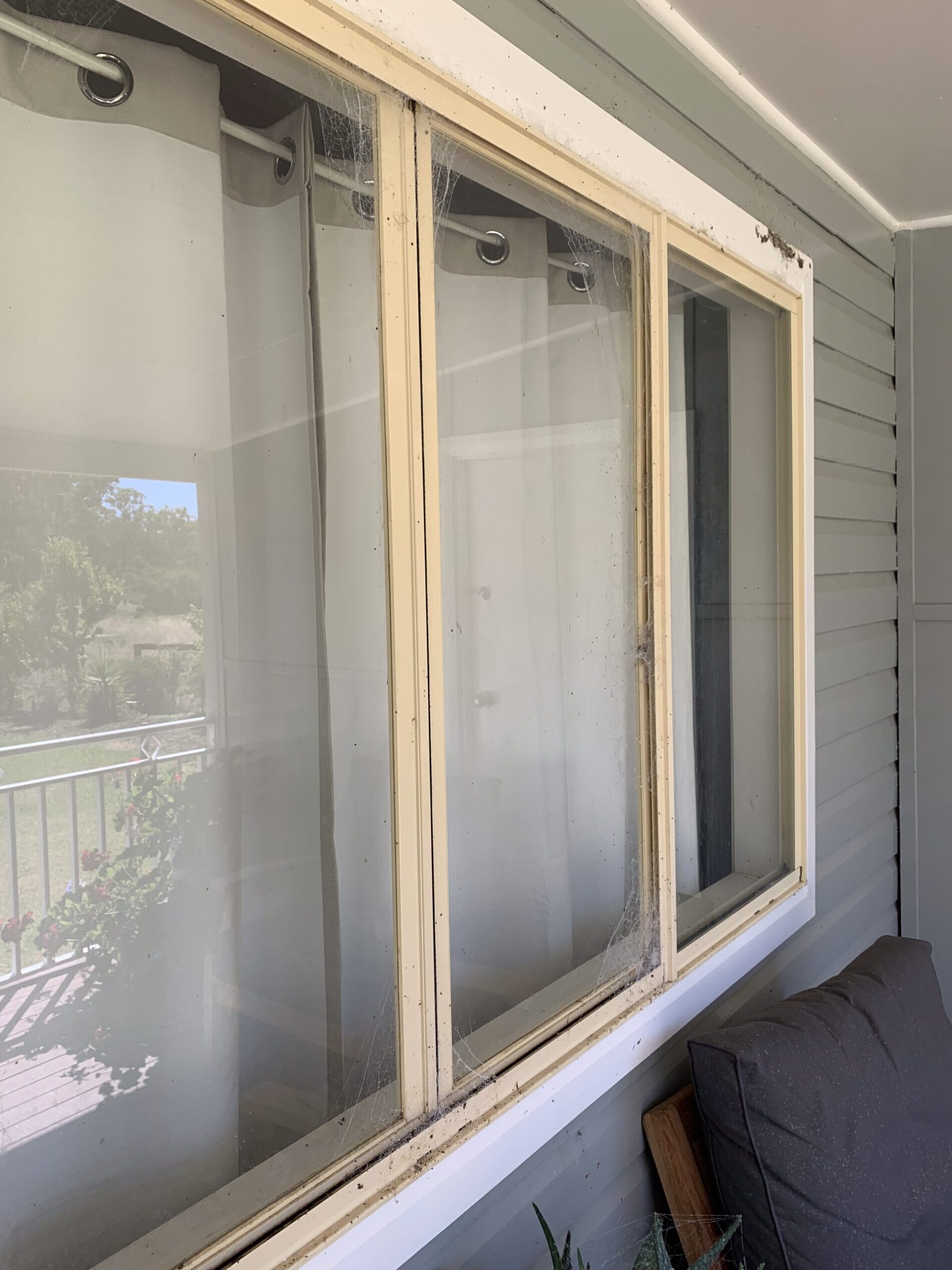 Before a Spider Spray