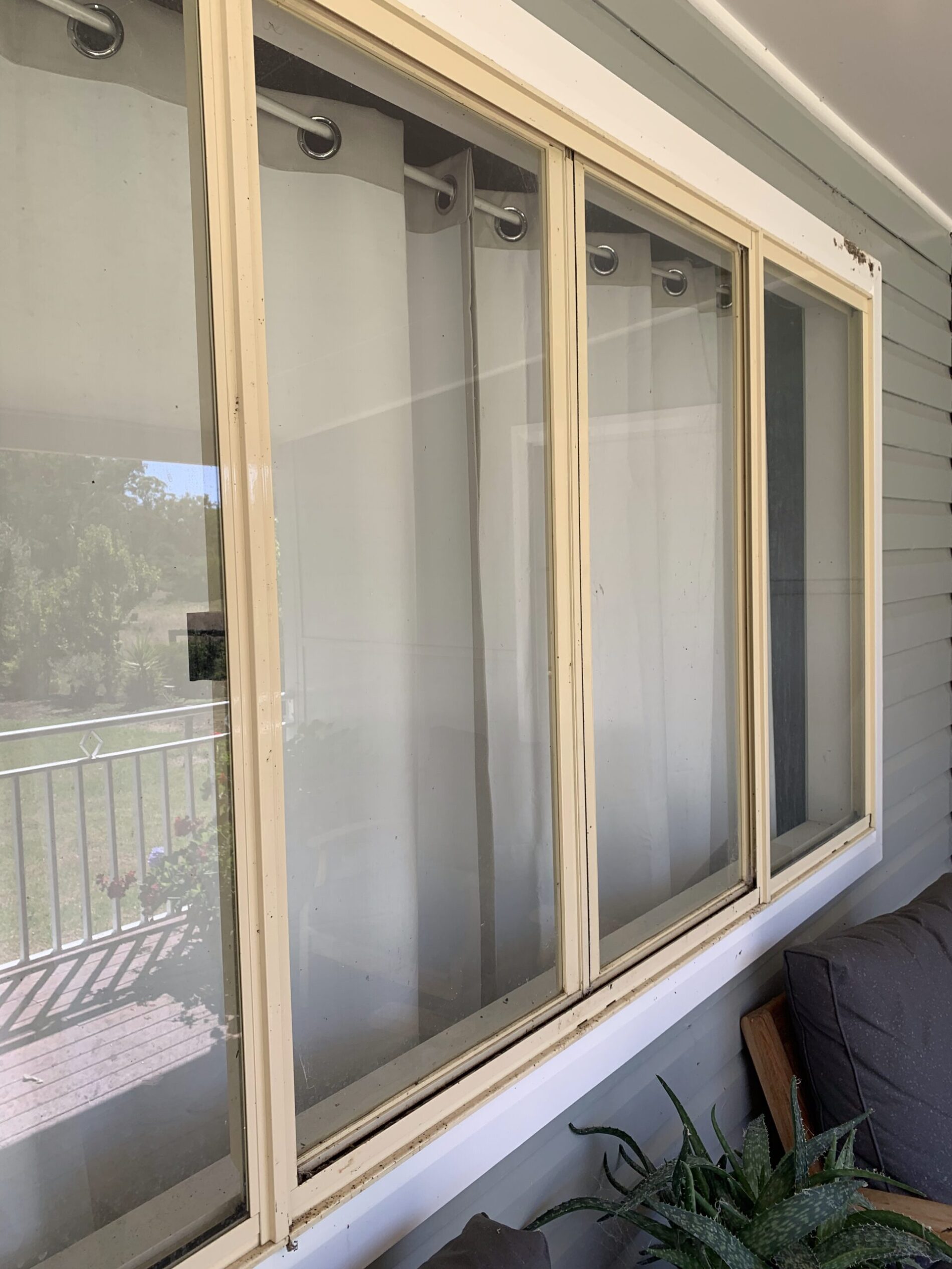 After a Spider Spray